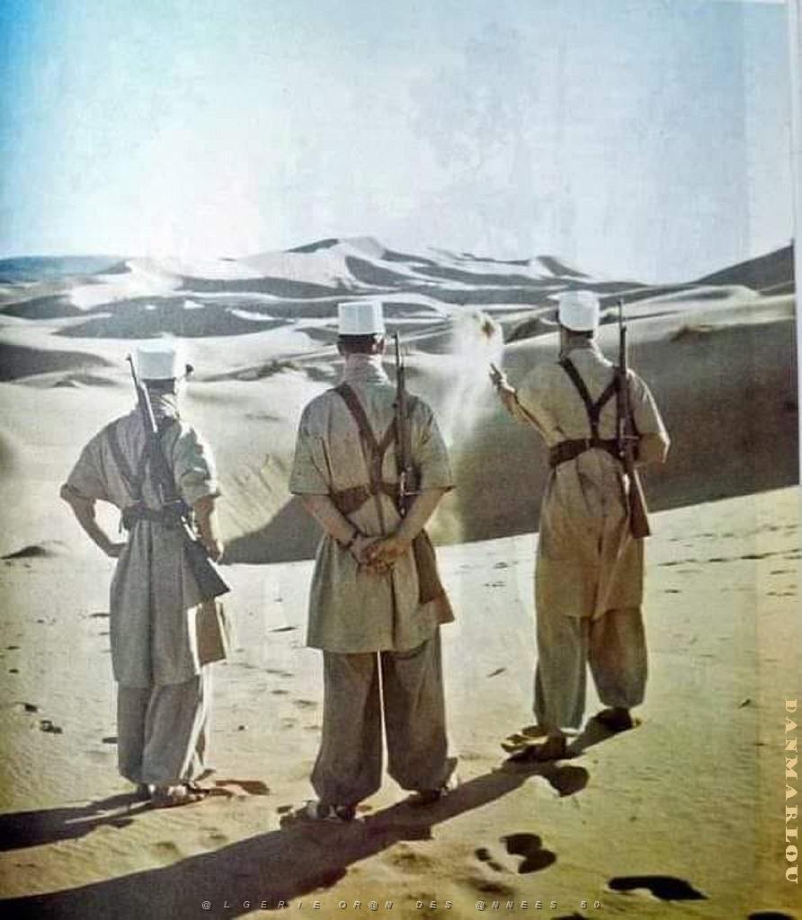 LEGION DES SAHARIENS.jpg